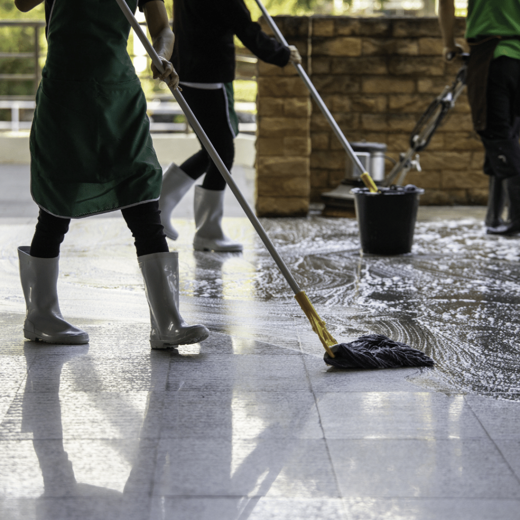 visual image of professional floor cleaning